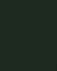 Impact 3 Forest by  Kravet 