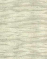 In Groove 1 Putty by  Kravet 