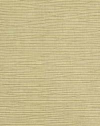 In Groove 16 Blonde by  Kravet 