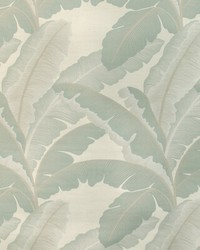 Isla Royal 11 Mist by   