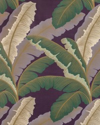 Isla Royal 310 Berry by   