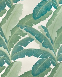 Isla Royal 5 Azure by   