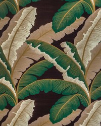 Isla Royal 630 Cacao by   