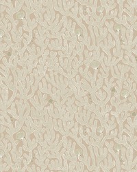 CORAL JMW1016 11 by  York Wallcovering 