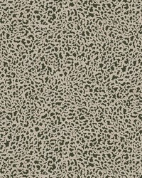 CLOUDS JMW1021 11 by   