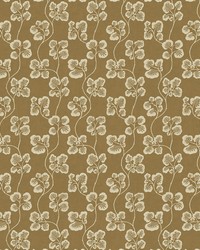 Cabbage Check JMW1024 11  by   