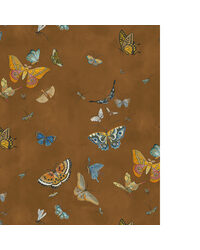 BUTTERFLIES JMW1043 11 by   