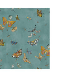 BUTTERFLIES JMW1043 31 by   