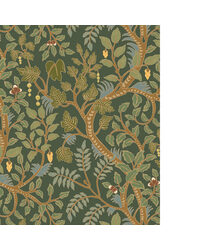 BRUSHWOOD JMW1050 11 by   