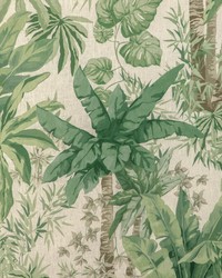 Junglewood 3 Verde by   