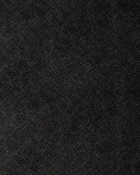 Kediri 8 Black Diamond by  Kravet 