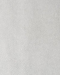 Kerinci 11 Ice Ice Baby by  Kravet 