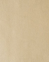 Kerinci 116 Gold Dust by  Kravet 