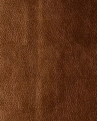 Kerinci 12 Lucky Penny by  Kravet 