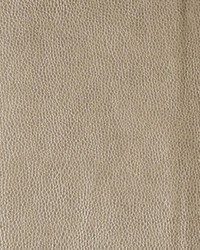 Kerinci 16 Mica by  Kravet 