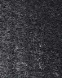 Kerinci 21 Metallica by  Kravet 