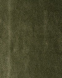 Kerinci 23 Limelight by  Kravet 