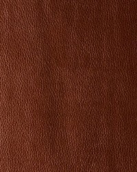 Kerinci 24 Cinnamon by  Kravet 