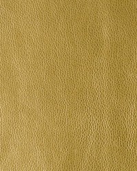 Kerinci 4 Rising Sun by  Kravet 