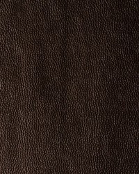 Kerinci 6 Vintage by  Kravet 