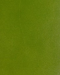 KRAVET DESIGN L-COFFER LIME by  Silver State 