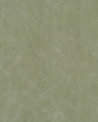 L-cuero EUCALYPTUS  by   