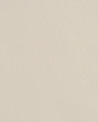 L-firenze MOONBEAM  by  Kravet 