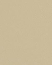 L-firenze PORCELAIN  by  Kravet 