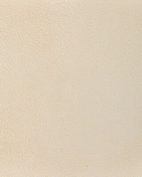 KRAVET DESIGN L-GLISTEN SEASHELL by   