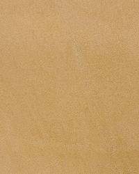 L-hasbrook CAMEL  by   