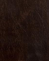 L-haute Espresso  by   