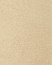 KRAVET DESIGN L-LOMA BUTTERMILK by   