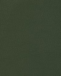 KRAVET DESIGN L-MANZANO SAGE by   