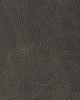 Kravet L-NAMBE SLATE