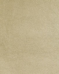 KRAVET DESIGN L-SIERRA GLIMMER by   