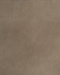 L-spectrum Whisper  by   