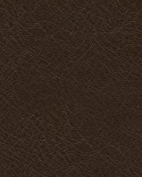 L-timeless CHOCOLATE  by   