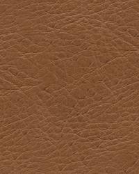 L-timeless DESERT  by   