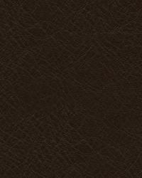 L-timeless EBONY  by   