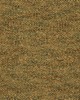 Kravet FAVILA CAMEL