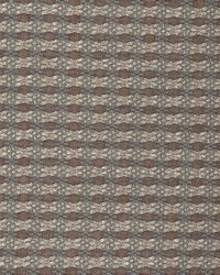 Bermudo LCT1005 005 Rosa by   