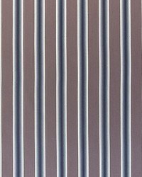 Trastamara LCT1024 003 Marron by   