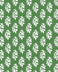 Seijo LCT1027 001 Verde by  Kravet 
