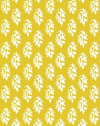 Seijo LCT1027 004 Amarillo by  Kravet 