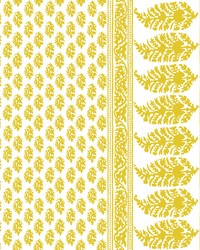 Aravaquita LCT1028 004 Amarillo by  Kravet 