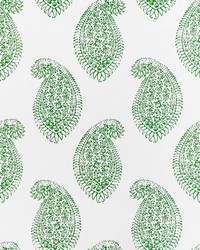 Berenguela LCT1030 001 Verde by  Kravet 