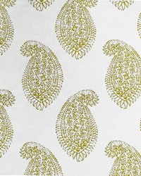Berenguela LCT1030 004 Mostaza by  Kravet 