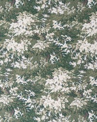 Jon LCT1045 001 Verde by   