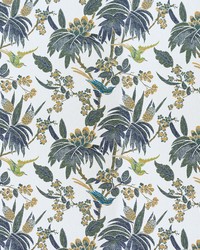 Carmencita LCT1063 001 Multi by   