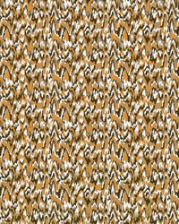 Teodora LCT1064 001 Marron by   